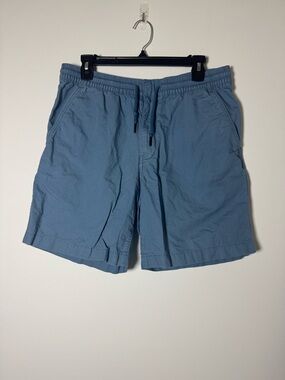 Patagonia Mens Shorts Size M Blue Casual Outdoor Elastic Waist Drawstring